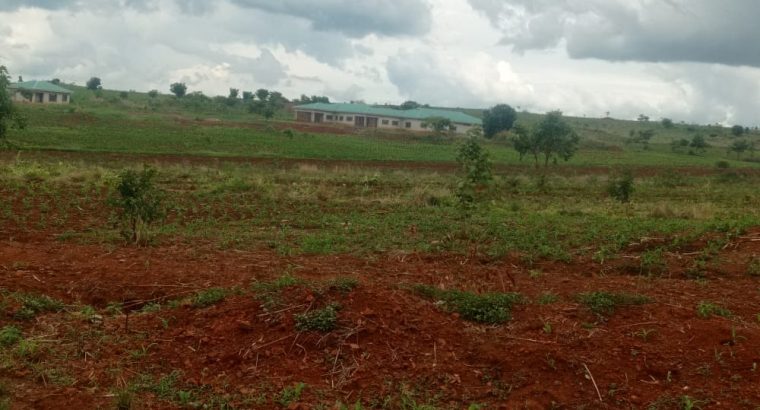 Cheap and Genuine Stands