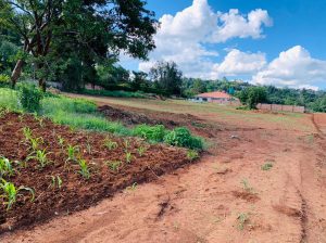 Genuine Stands for sale in Harare