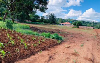 Genuine Stands for sale in Harare