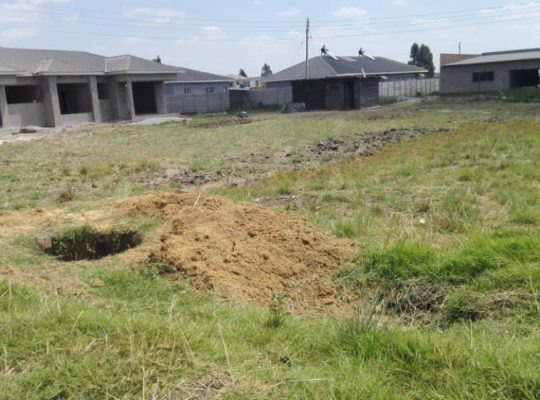 Tynwald -Kirkman Park stand measuring 500m2