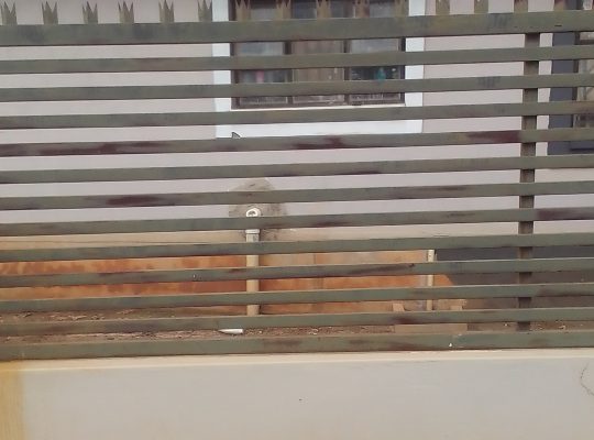 DURAWALL STEEL DESIGNS