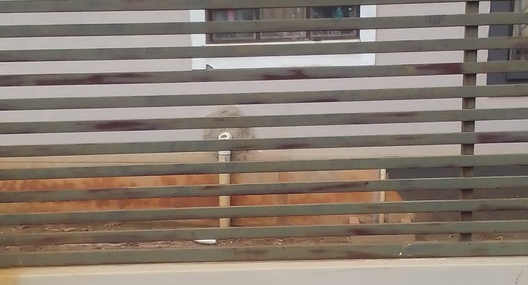 DURAWALL STEEL DESIGNS