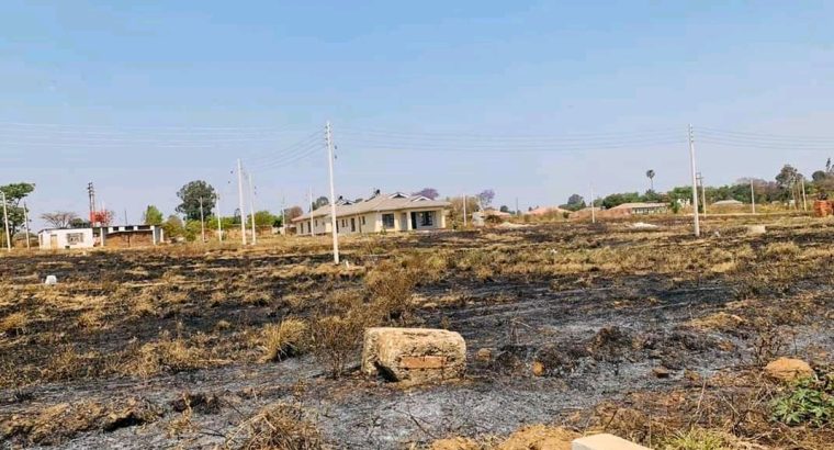 BELVEDERE STANDS for sale