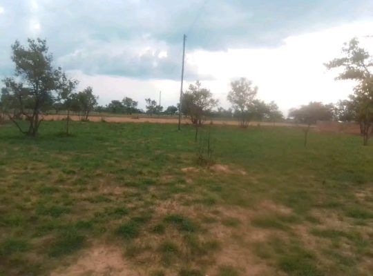 Glaudina Stands FOR SALE IN HARARE