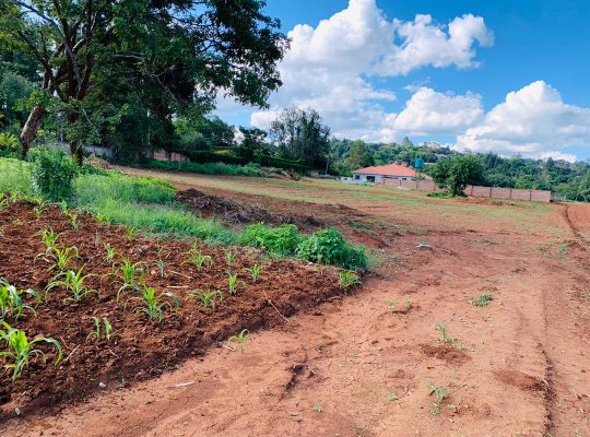 WATERFALLS ALONG DERBYSHIRE ROAD INFILL stands for sale