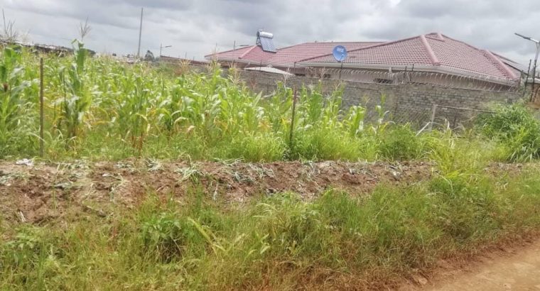 Harare Residential Stands