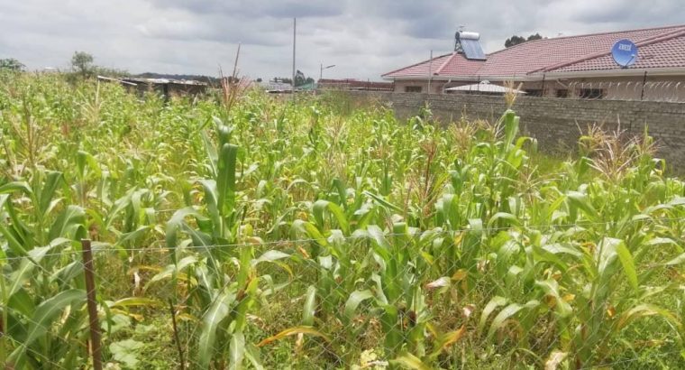 Sandton affordable stands