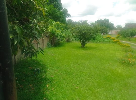 Sandton affordable stands