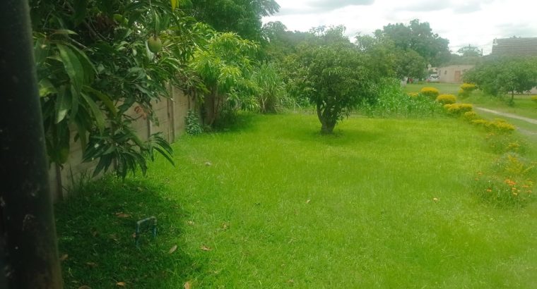 Sandton affordable stands