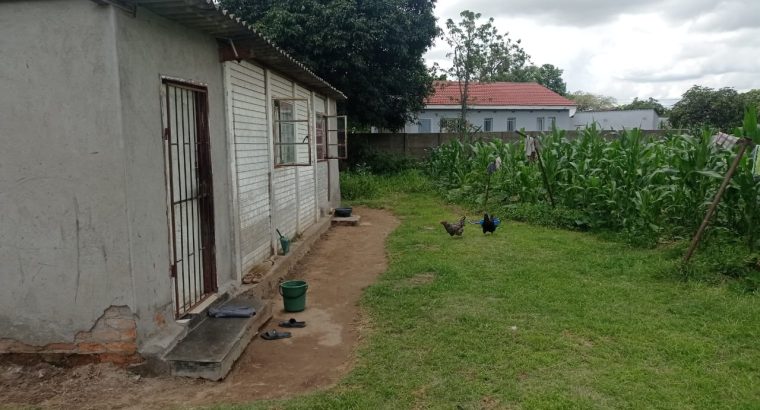 BELVEDERE STANDS for sale