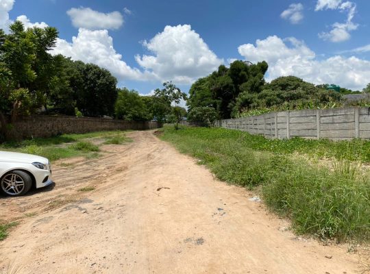 BELVEDERE STANDS for sale