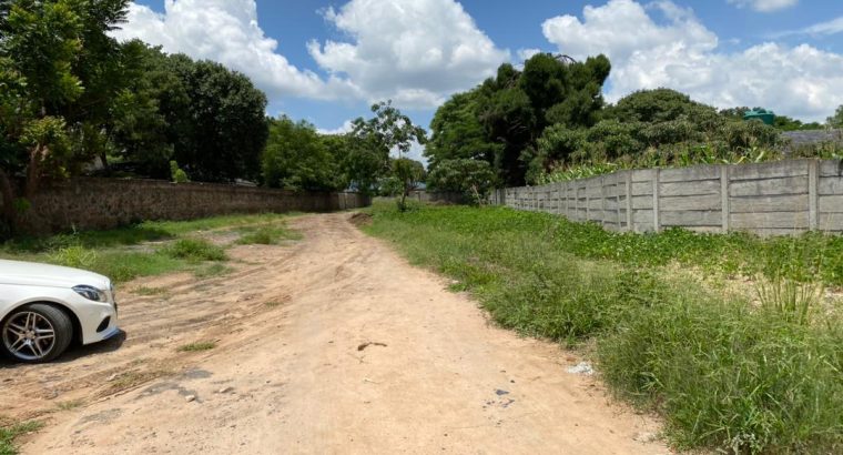 BELVEDERE STANDS for sale