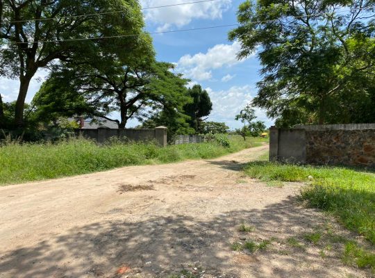 Genuine Stands for sale