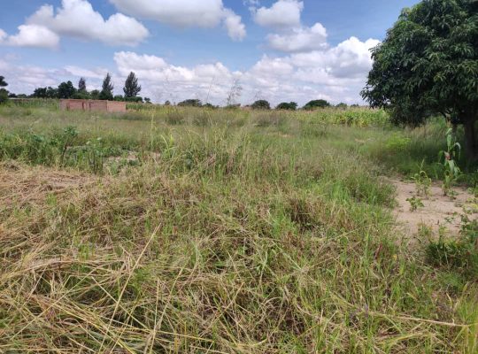 MT PLEASANT HEIGHTS EQUITY PHASE TWO STANDS