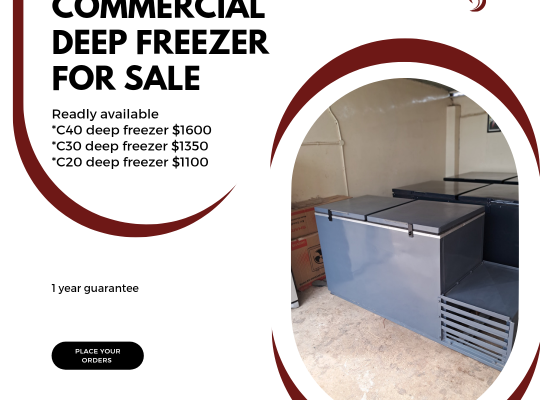 Commercial Deep Freezers