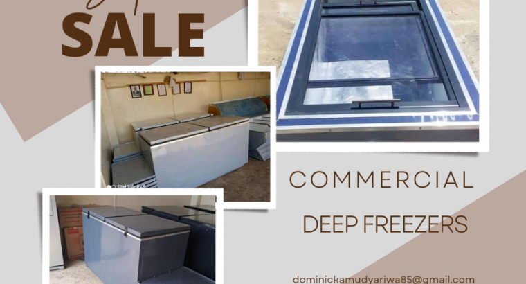 Commercial Deep Freezers