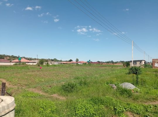 FALCON stands for sale