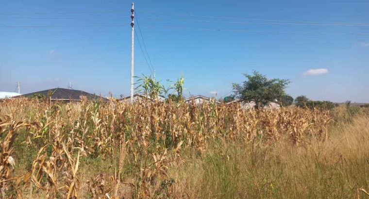 BUDIRIRO 5 INFILL STAND 