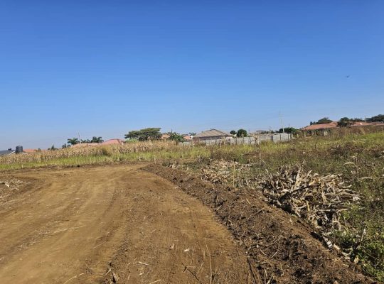 BUDIRIRO 5 INFILL STAND 