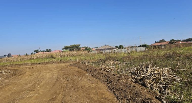 BUDIRIRO 5 INFILL STAND 