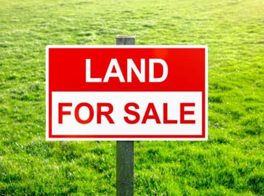 Stand in Headland for sale – 900sqm