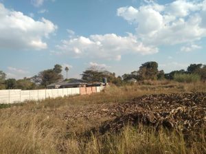 Harare infills amd stands