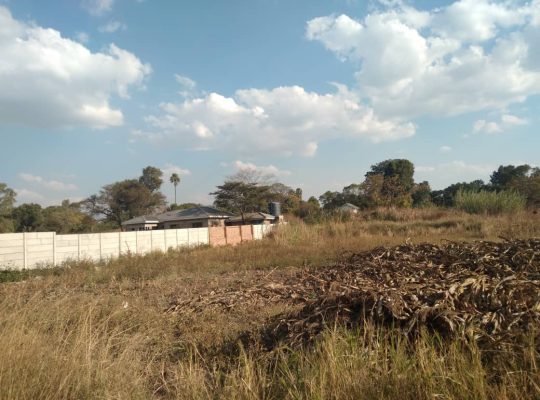 Harare infills amd stands