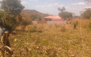 Crowhill Views Stand for sale