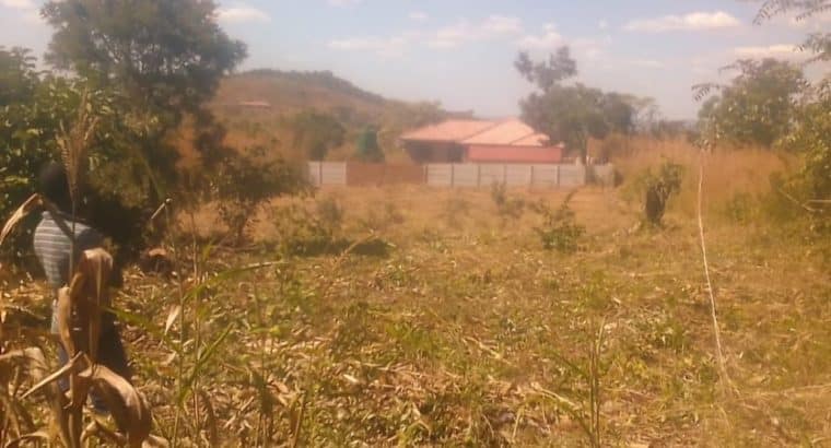 BUDIRIRO INFILL STAND 