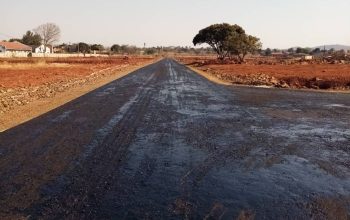 MABELREIGN INFILL STANDS