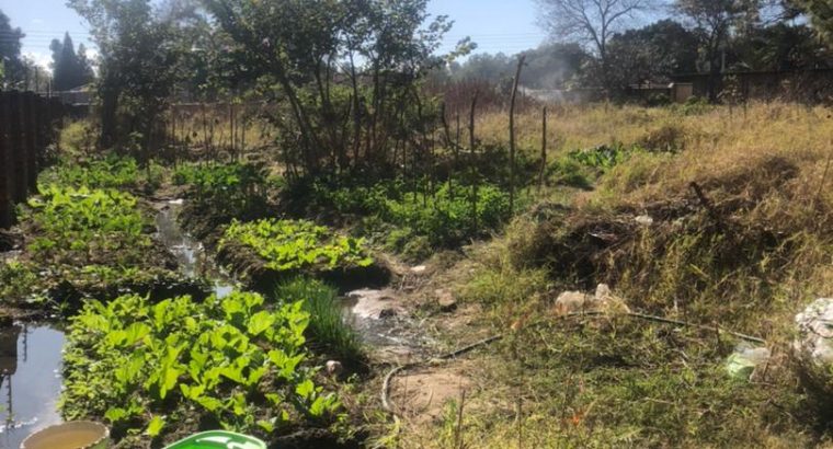 Greendale | Pan-Handle Stand For Sale