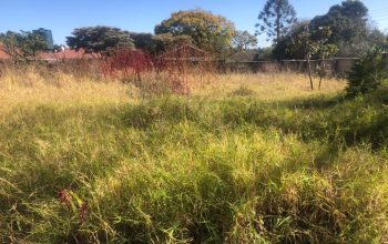 Greendale | Pan-Handle Stand For Sale