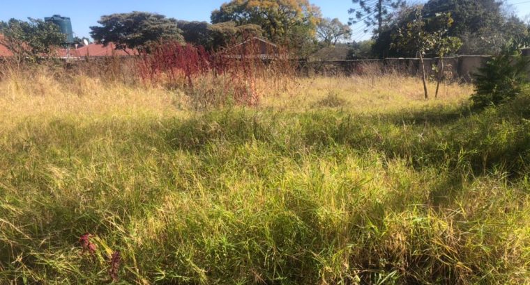 Greendale | Pan-Handle Stand For Sale