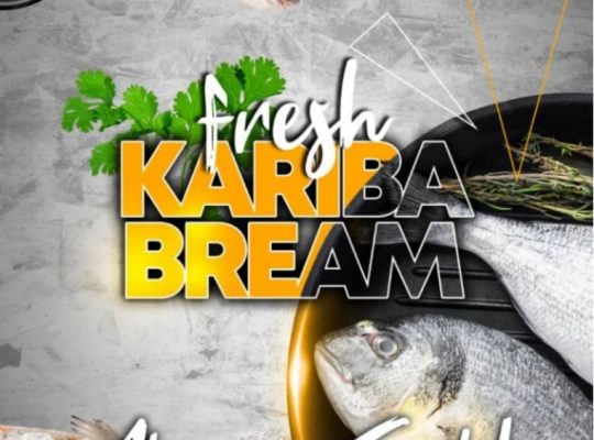Fresh Kariba Bream