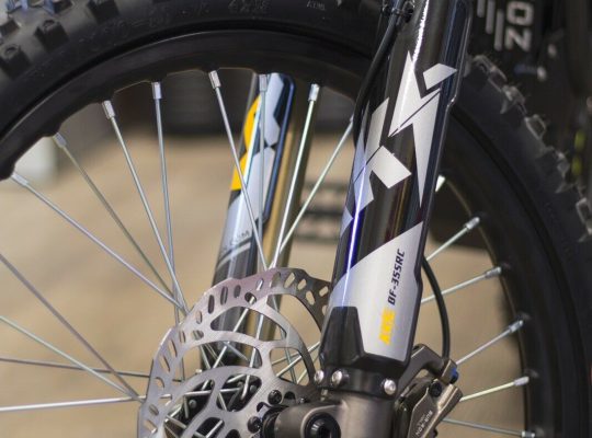 SUR-RON 2020 Light Bee X electric bike