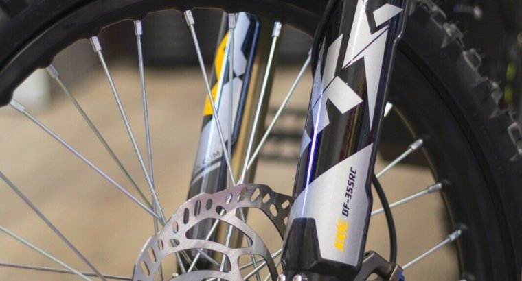SUR-RON 2020 Light Bee X electric bike