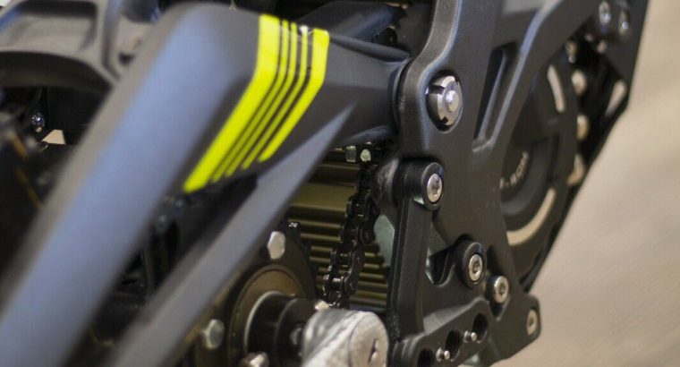 SUR-RON 2020 Light Bee X electric bike