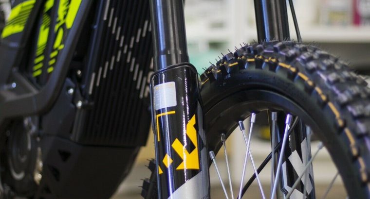 SUR-RON 2020 Light Bee X electric bike