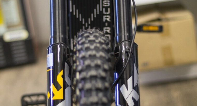 SUR-RON 2020 Light Bee X electric bike