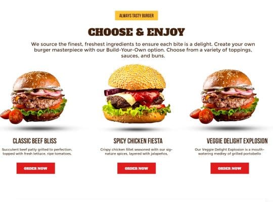 Website Designing Services