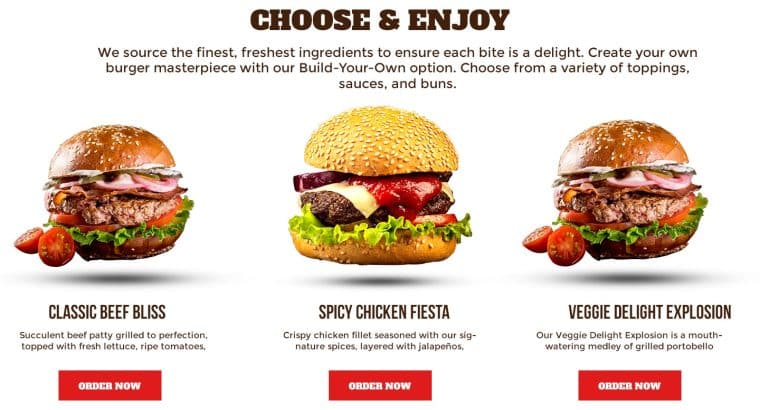 Website Designing Services