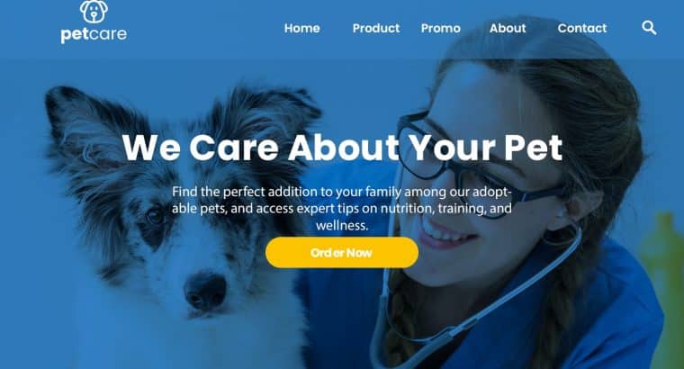 Website Designing Services