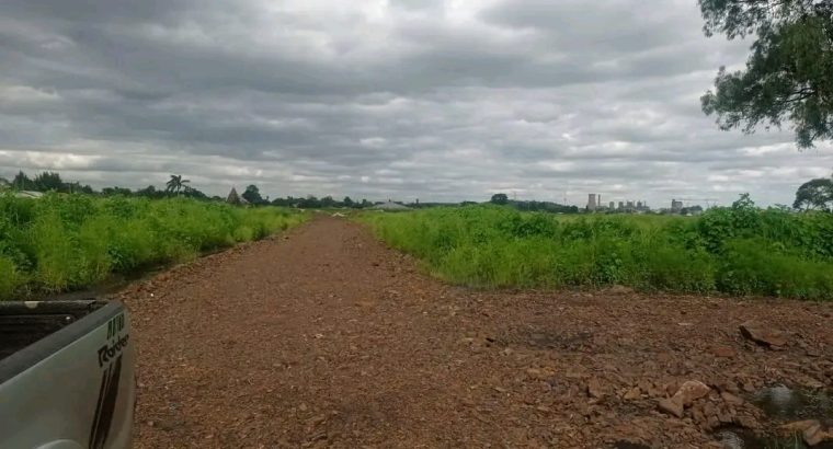 Genuine and affordable stands