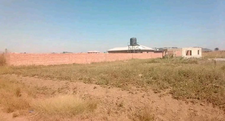 Genuine and affordable stands