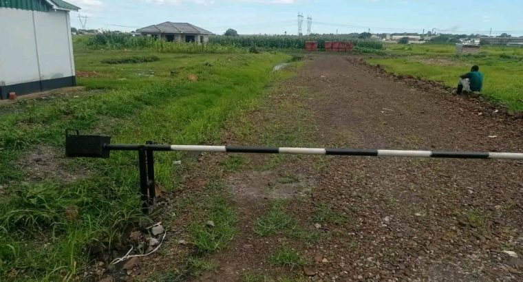 Genuine and affordable stands