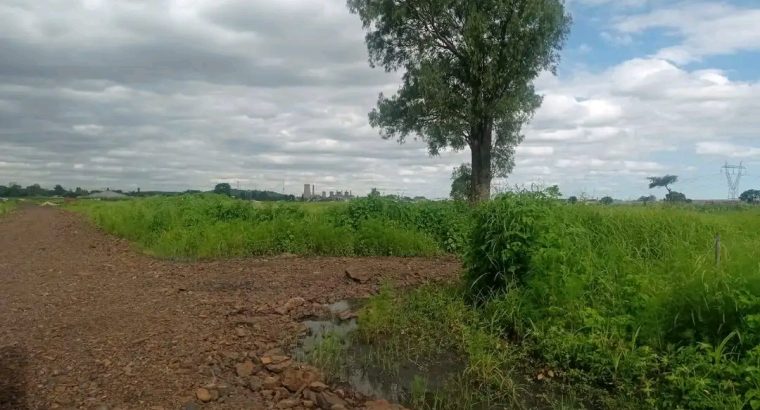 Genuine and affordable stands