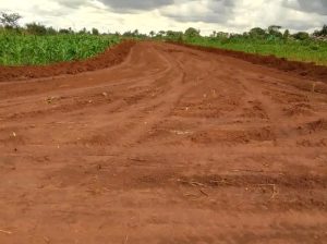 Genuine and affordable stands