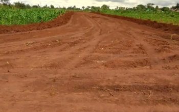 Genuine and affordable stands