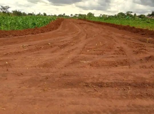 Genuine and affordable stands