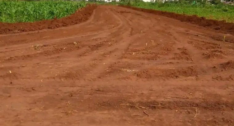 Genuine and affordable stands